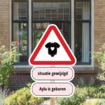 Geboortebord | Situatie gewijzigd rompertje - Afbeelding 6